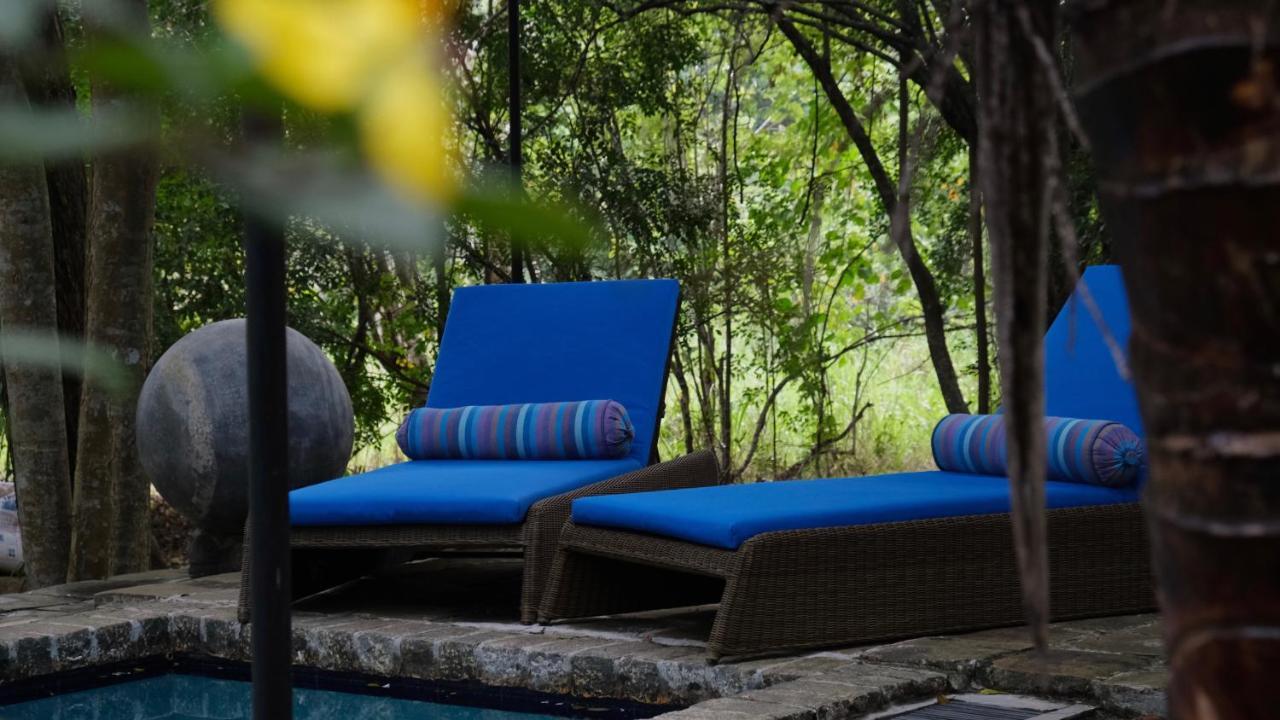 Hotel Mind Body And Soul Dambulla Exteriér fotografie