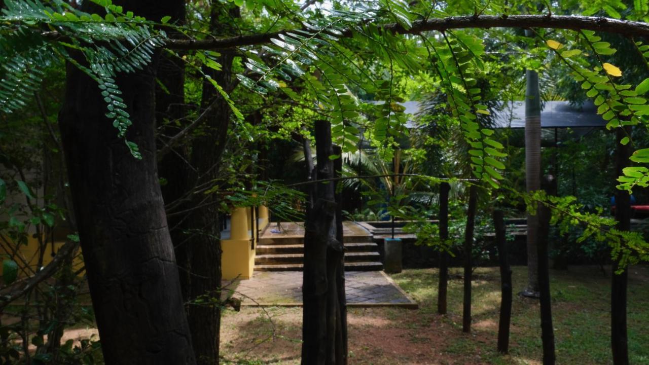 Hotel Mind Body And Soul Dambulla Exteriér fotografie