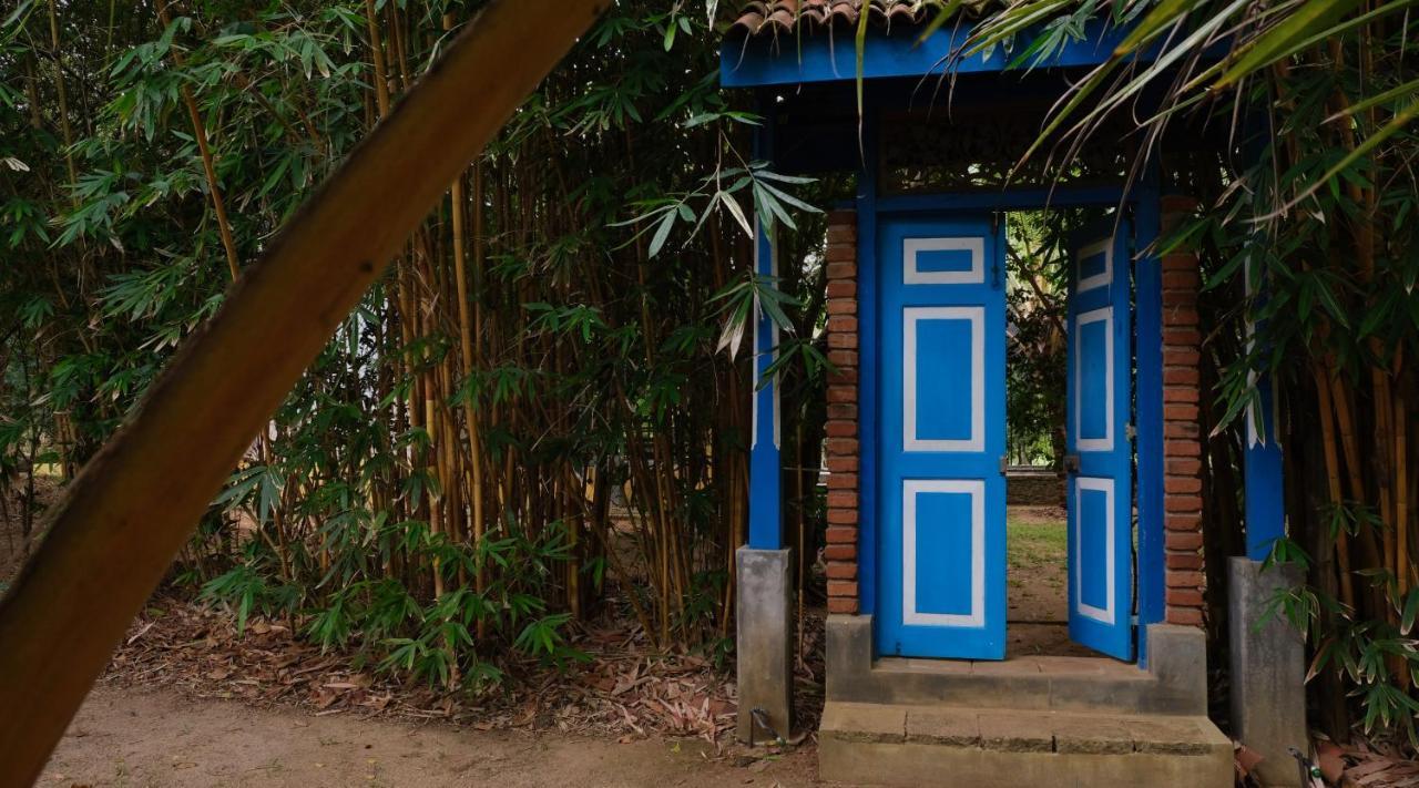 Hotel Mind Body And Soul Dambulla Exteriér fotografie