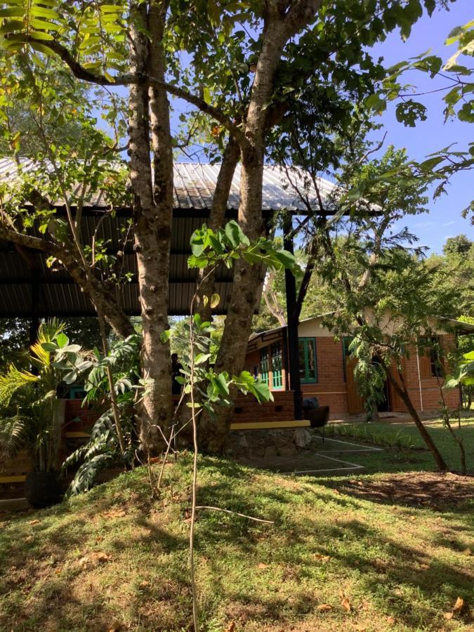 Hotel Mind Body And Soul Dambulla Exteriér fotografie