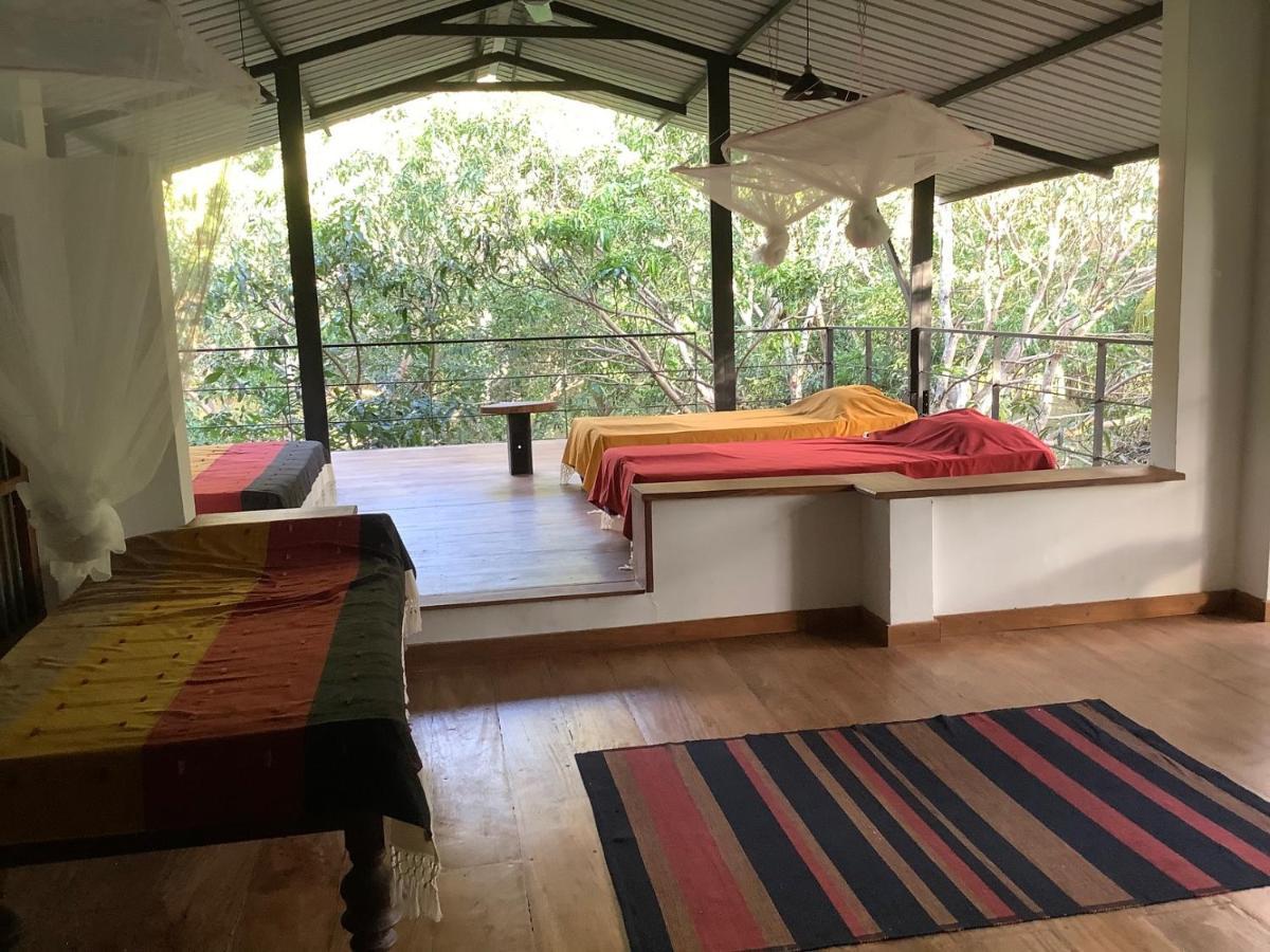 Hotel Mind Body And Soul Dambulla Exteriér fotografie