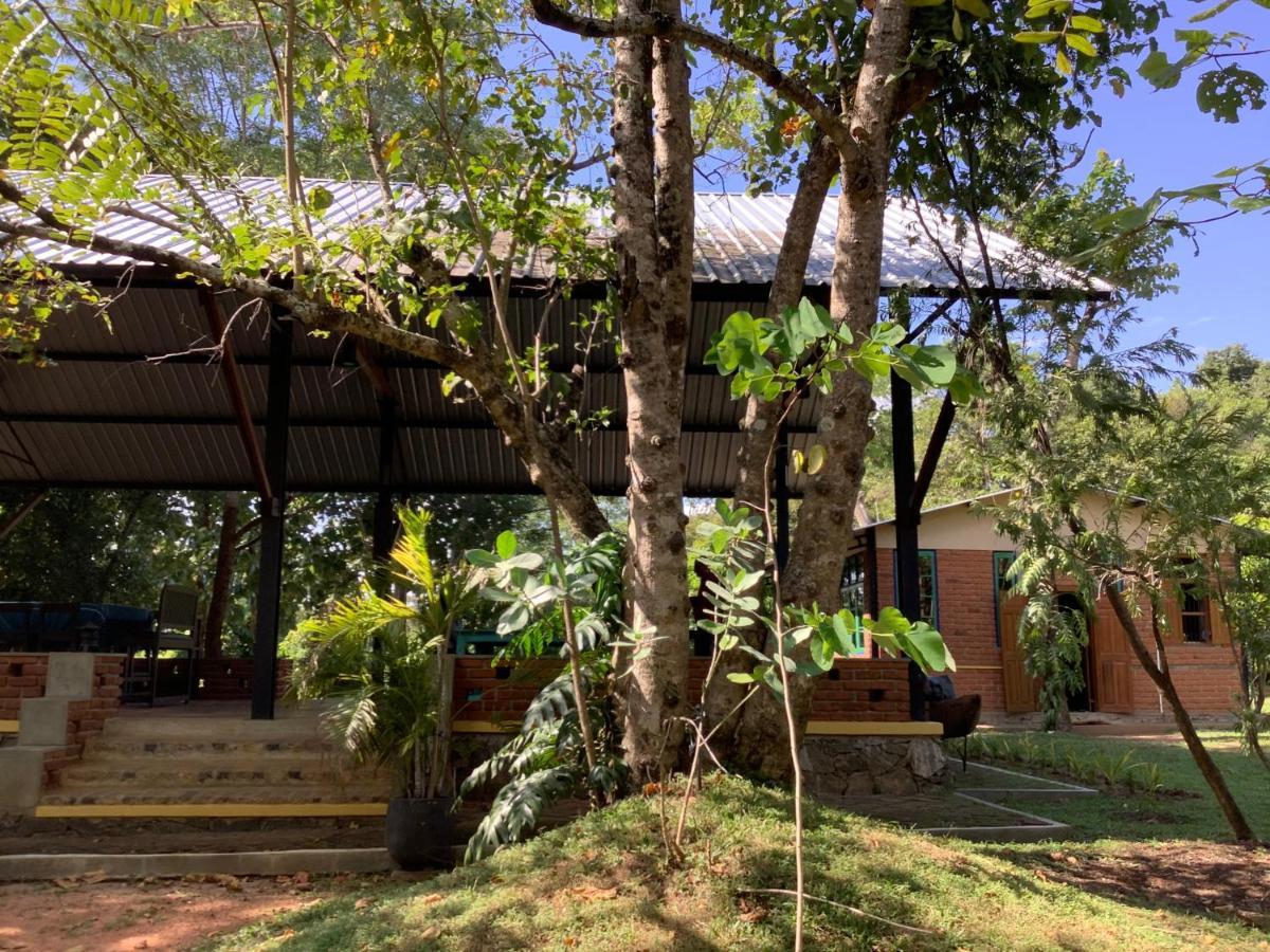 Hotel Mind Body And Soul Dambulla Exteriér fotografie