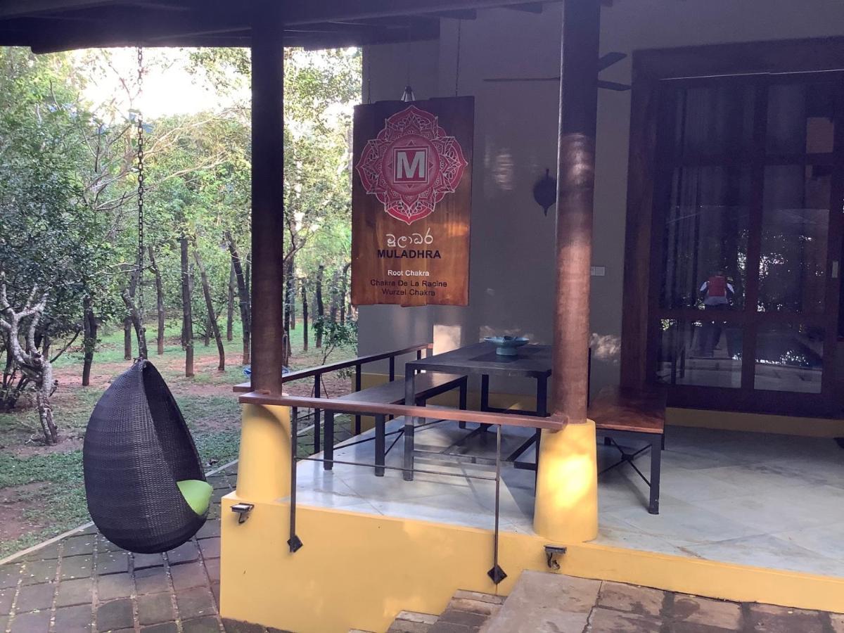 Hotel Mind Body And Soul Dambulla Exteriér fotografie