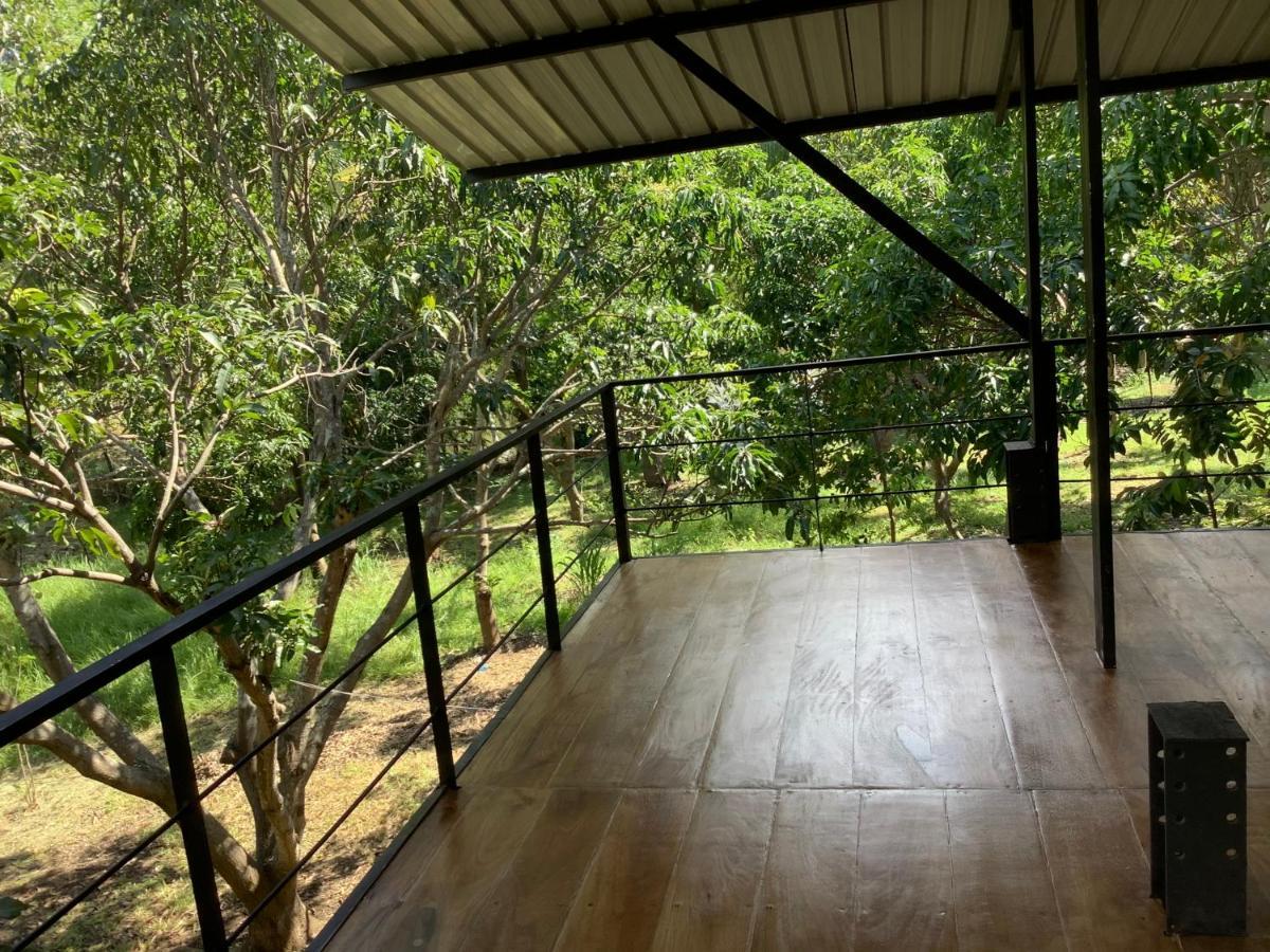 Hotel Mind Body And Soul Dambulla Exteriér fotografie