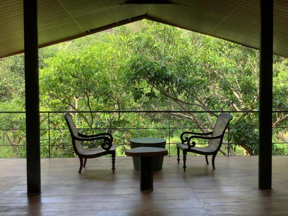 Hotel Mind Body And Soul Dambulla Exteriér fotografie